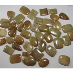 Fossilized Coral