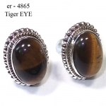 Tiger EYE